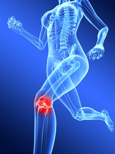Knee Physical Therapy